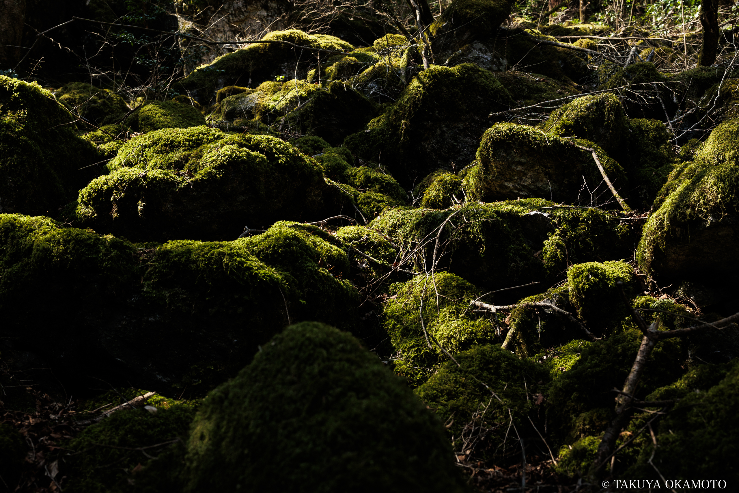 高知県高知市 工石山(賽の河原線の風景)