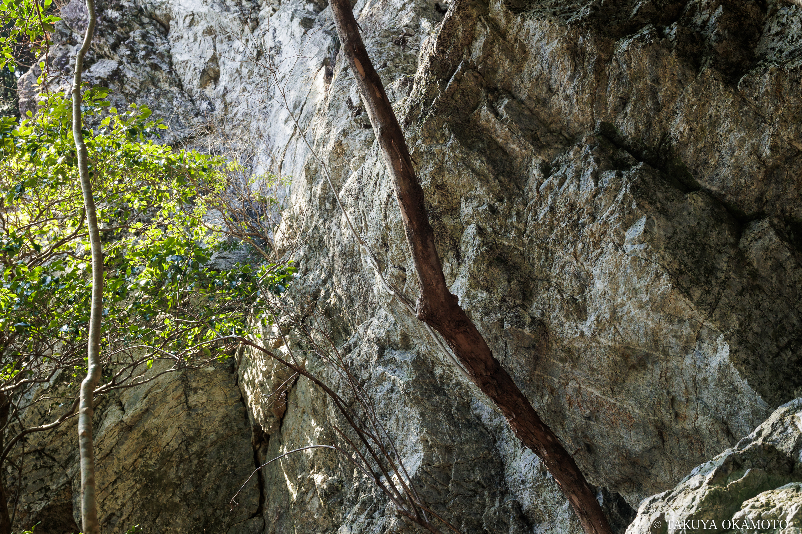高知県高知市 工石山(賽の河原線の風景)