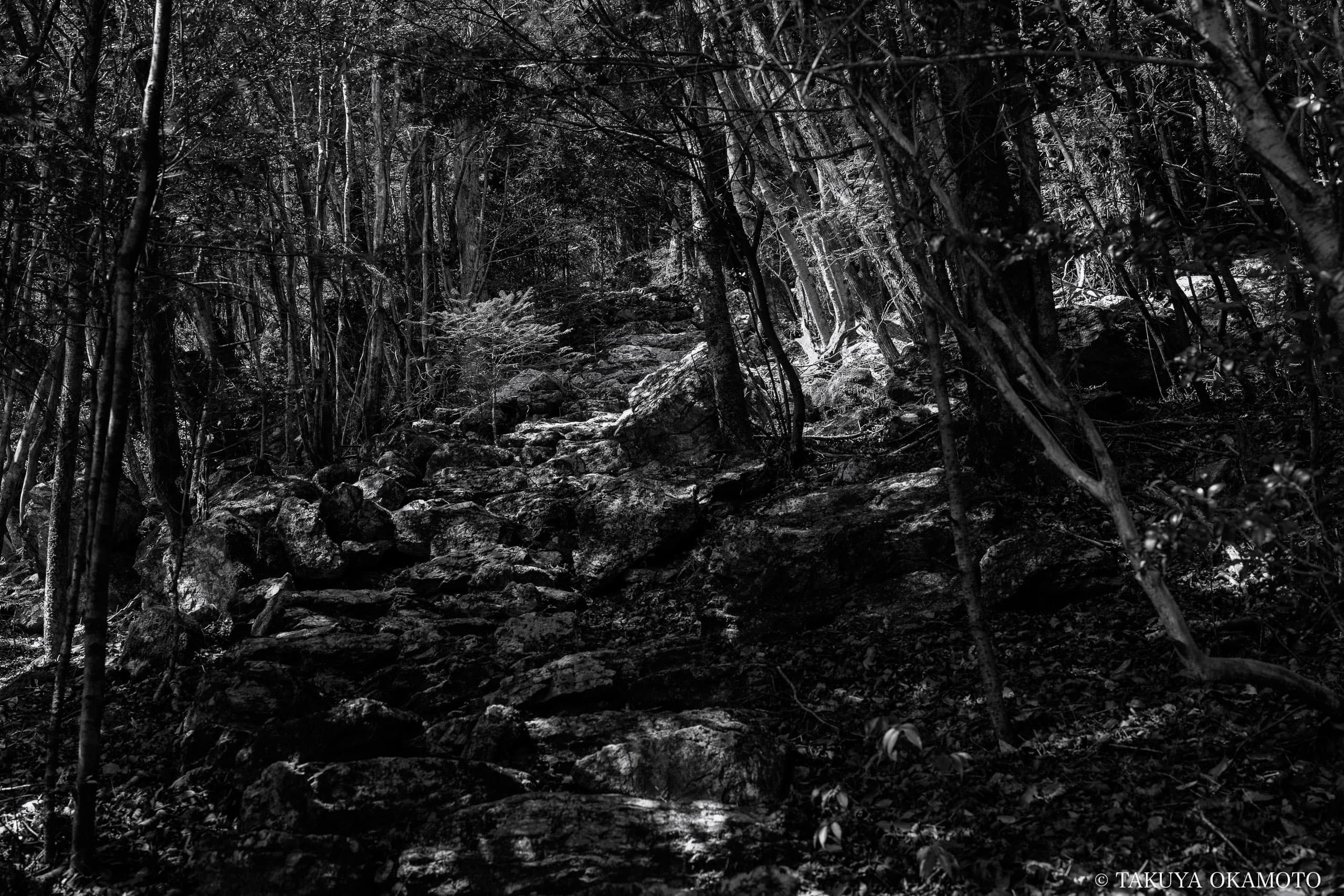 高知県高知市 工石山（工石神社へと続く石段）