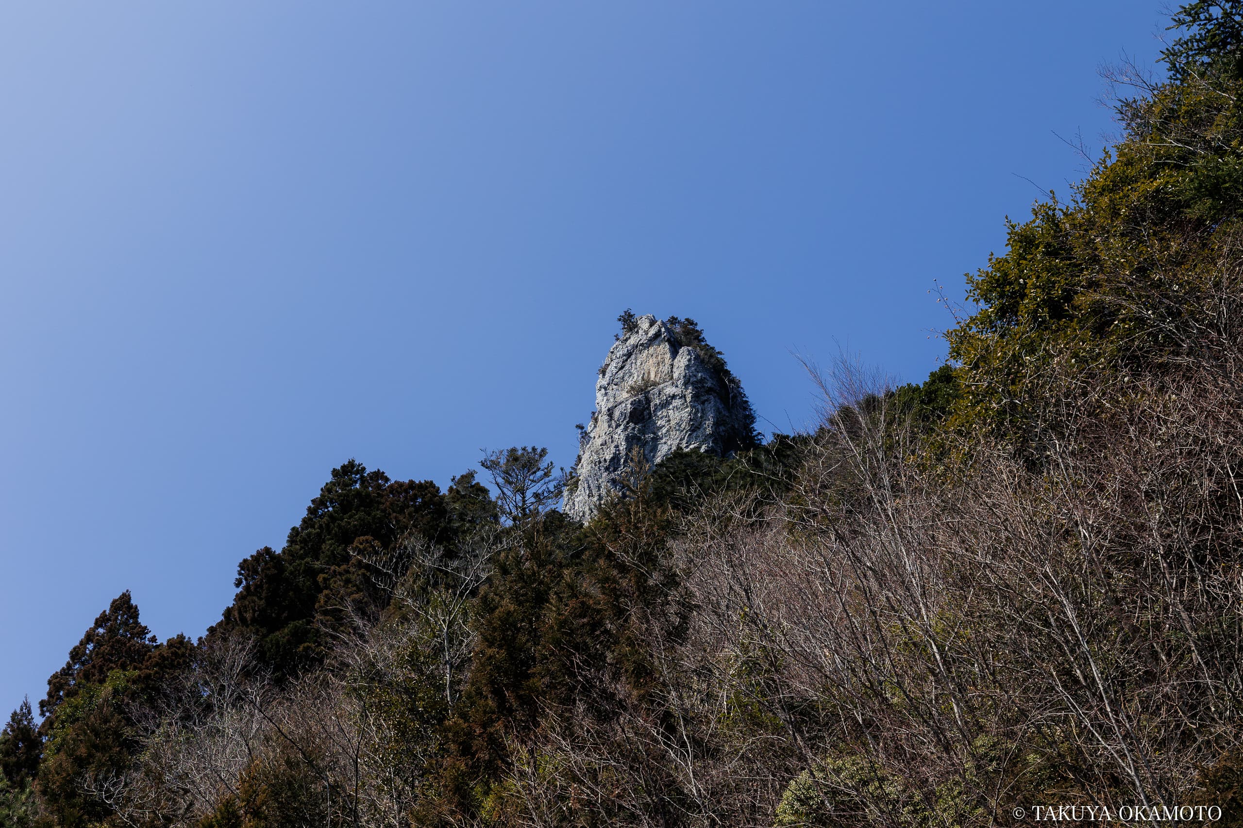高知県高知市 工石山（林道から見た妙体岩）