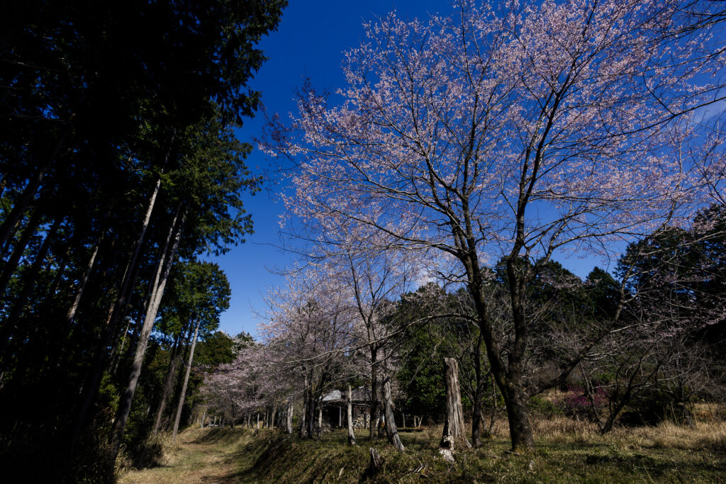 土佐塩の道（黒見休憩所・塩の道桜公園）