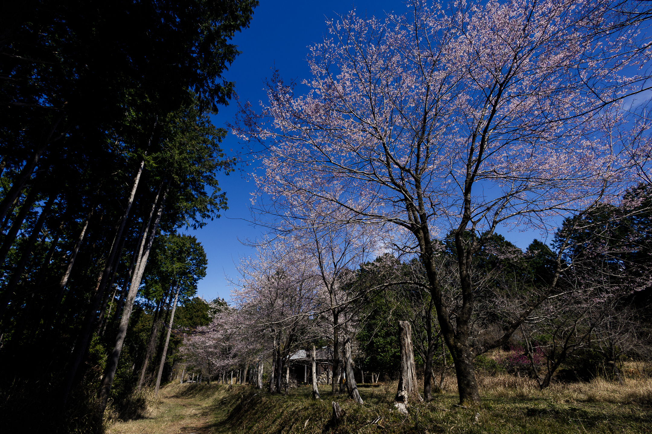 土佐塩の道（黒見休憩所・塩の道桜公園）