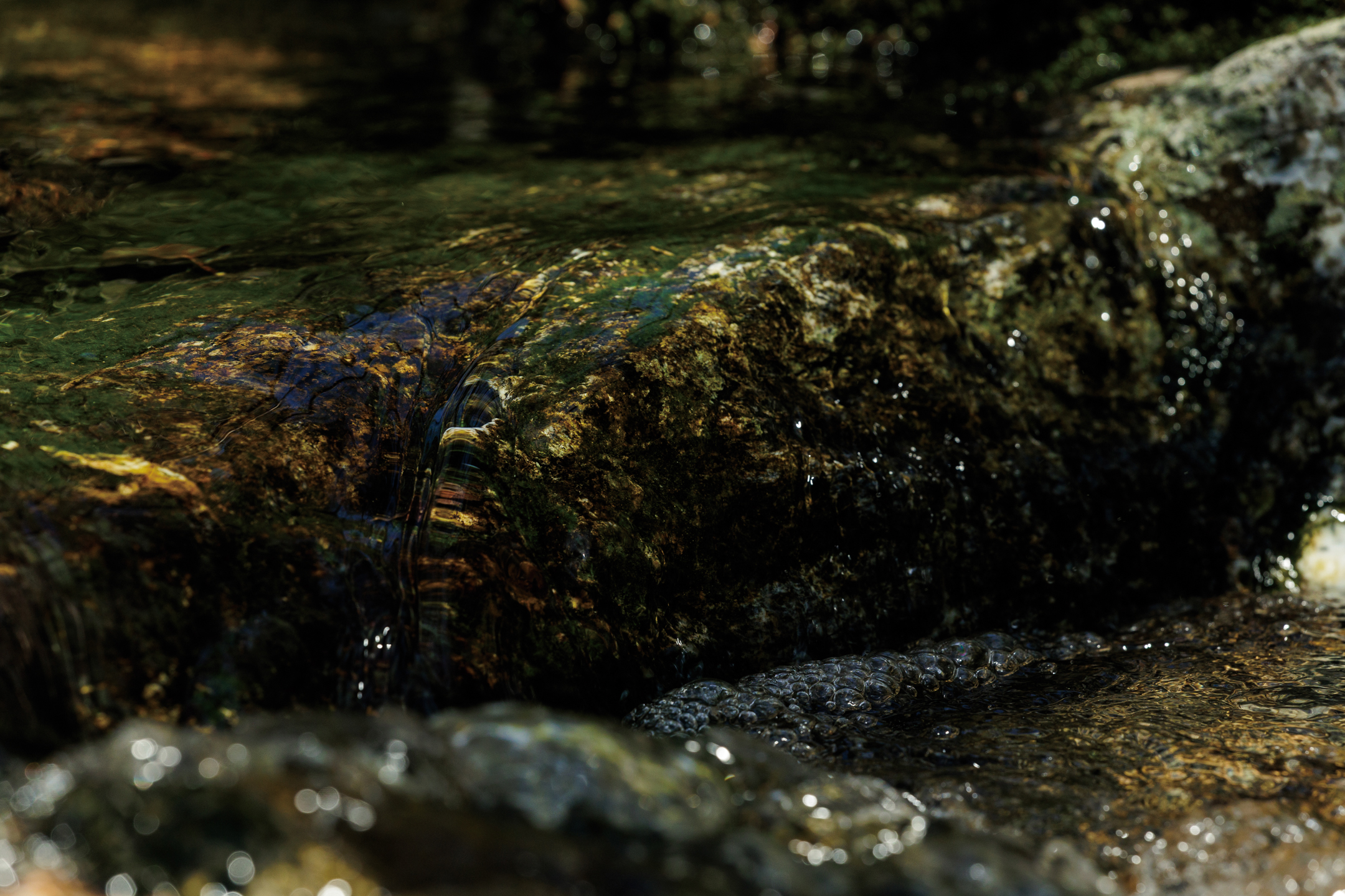 沢登りコース 鏡川源流の流れ - 写真集「into the forest : kuishi」