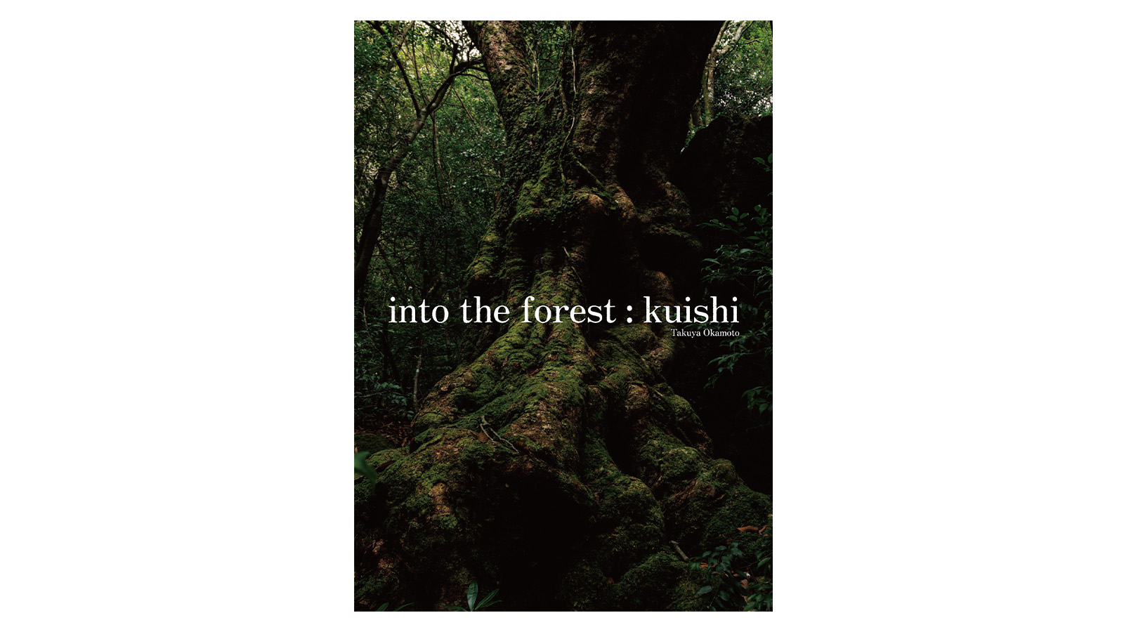 写真集「into the forest : kuishi」 | 工石山の森 | 風景写真家 岡本
