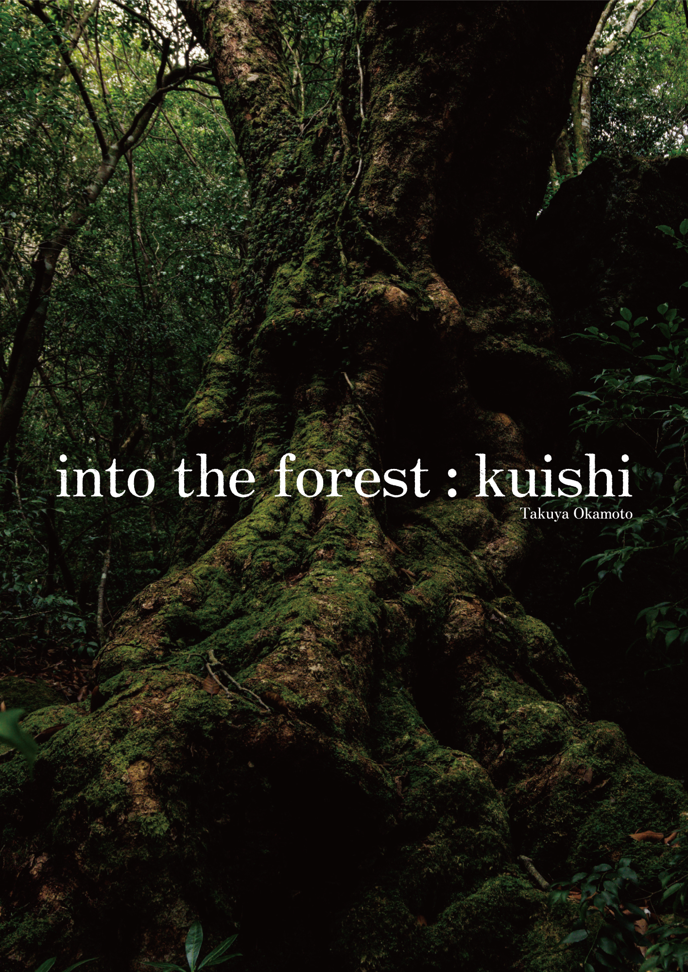 表紙 - 写真集「into the forest : kuishi」