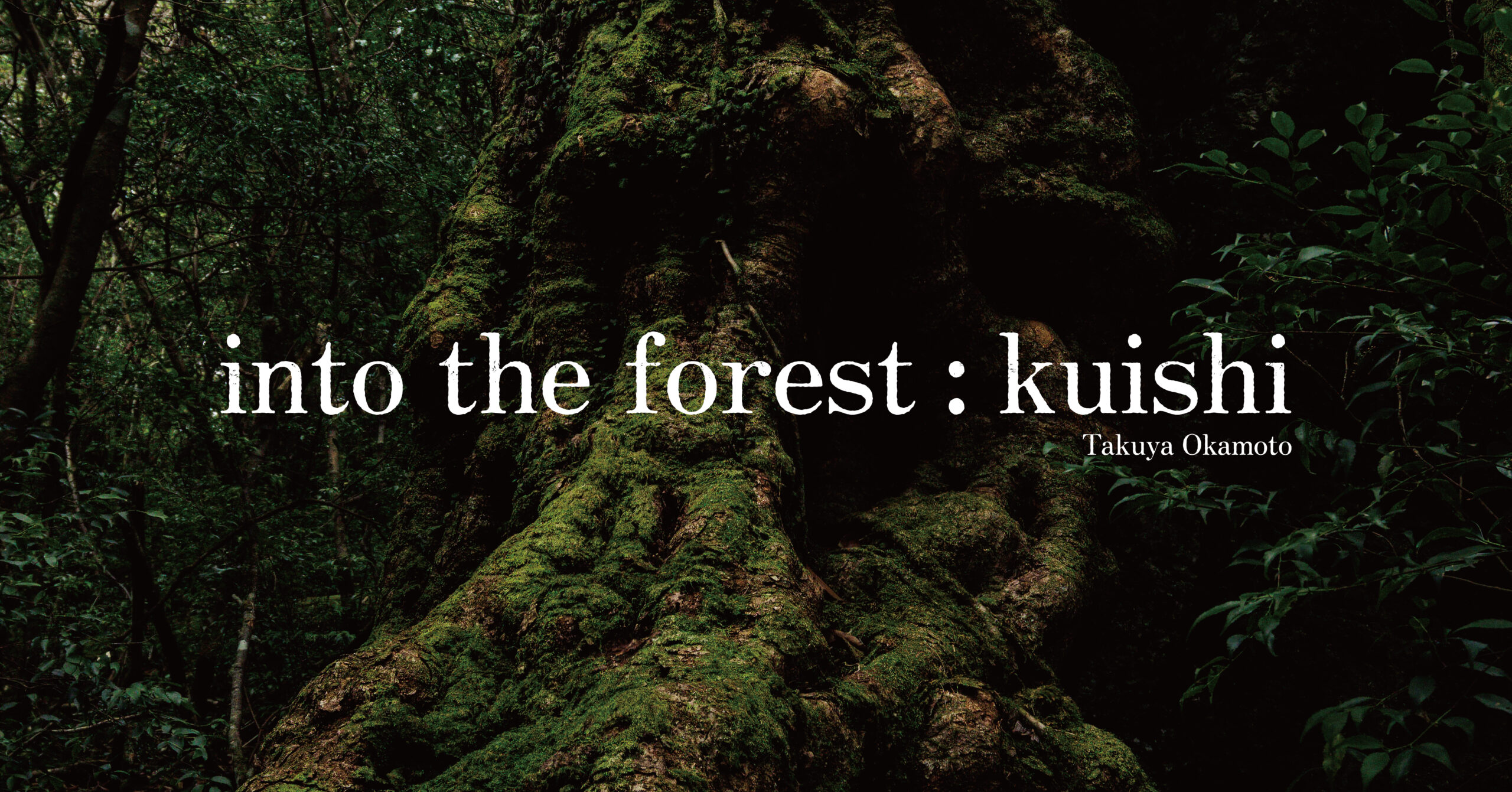 サムネイル - 写真集「into the forest : kuishi」