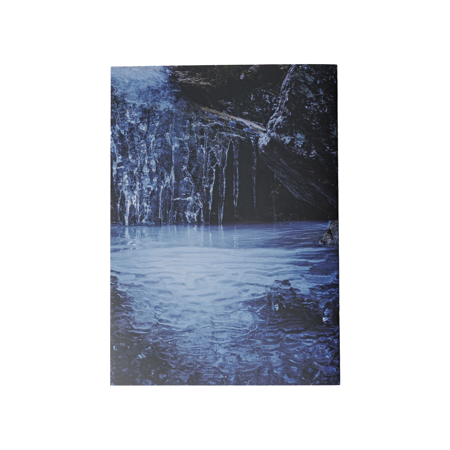 写真集「into the forest : kuishi」 裏表紙