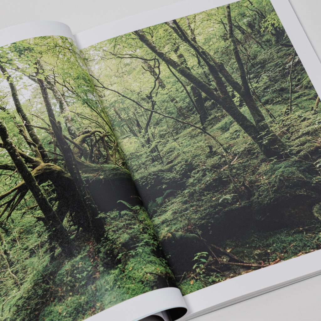 写真集「into the forest : kuishi」 内容サンプル