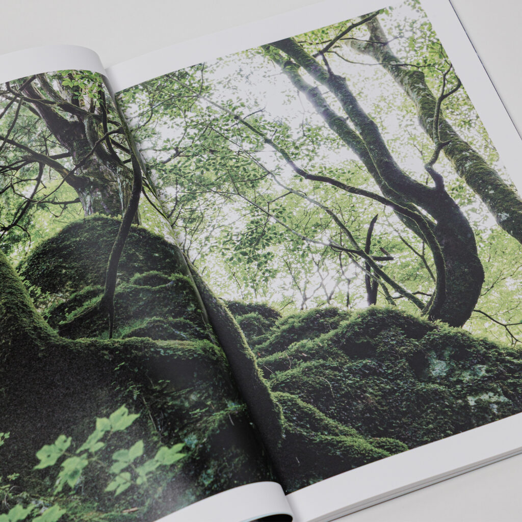 写真集「into the forest : kuishi」 内容サンプル