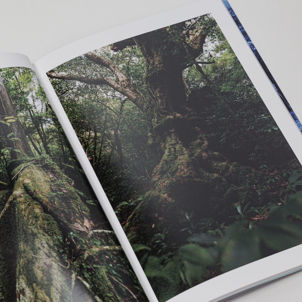 写真集「into the forest : kuishi」 内容サンプル