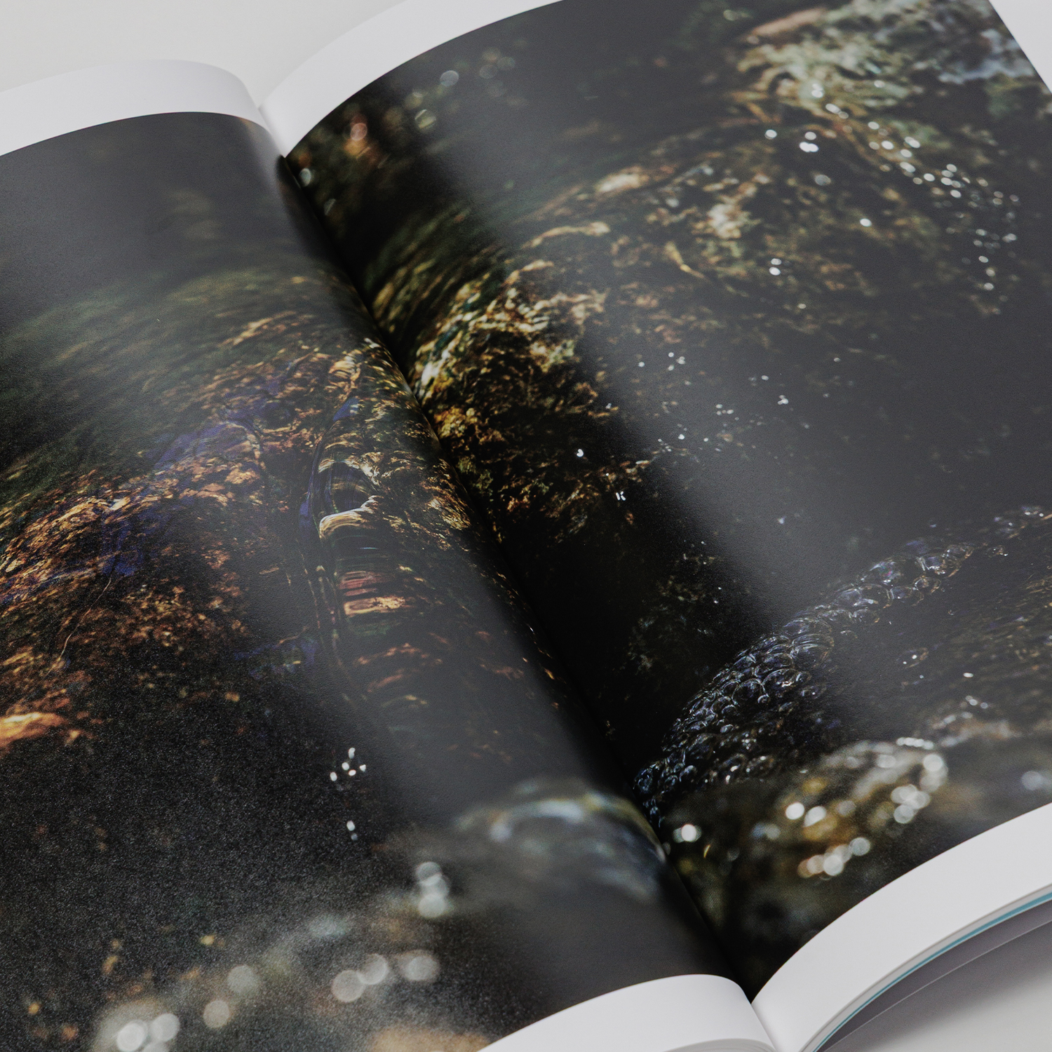 写真集「into the forest : kuishi」 内容サンプル