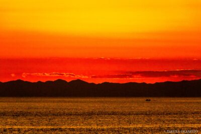高知県安芸市 / 2014