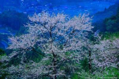 高知県仁淀川町 / 2015