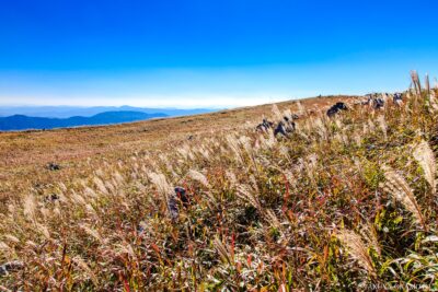 高知県越知町 / 2015