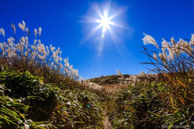 高知県越知町 / 2015