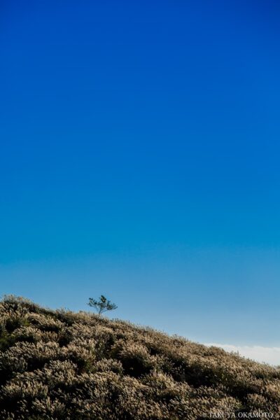 愛媛県西予市 / 2015