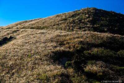 愛媛県西予市 / 2015