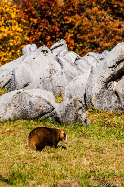 愛媛県西予市 / 2015