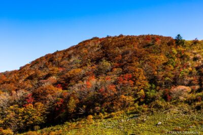 愛媛県西予市 / 2015