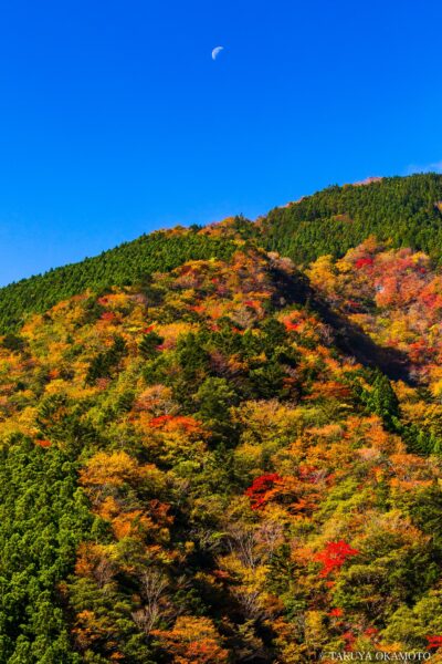 徳島県那賀町 / 2015