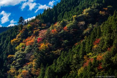 徳島県那賀町 / 2015
