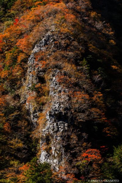 徳島県那賀町 / 2015