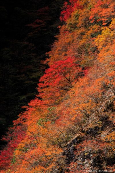 徳島県那賀町 / 2015