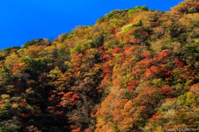 高知県香美市 / 2015