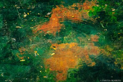 高知県仁淀川町 / 2015