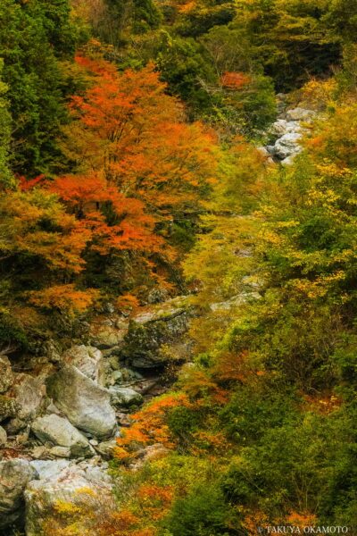 高知県香美市 / 2015