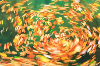 高知県香美市 / 2015