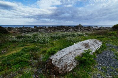 高知県室戸市 / 2016
