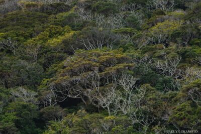高知県室戸市 / 2016
