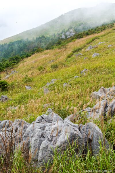 高知県津野町 / 2016