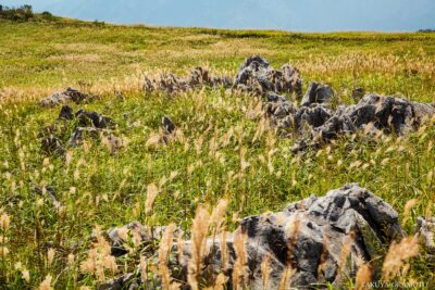 高知県津野町 / 2016
