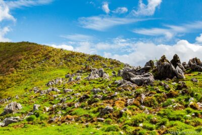 愛媛県西予市 / 2016