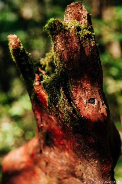 愛媛県西予市 / 2016