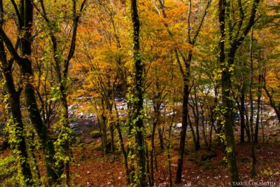 高知県香美市 / 2016