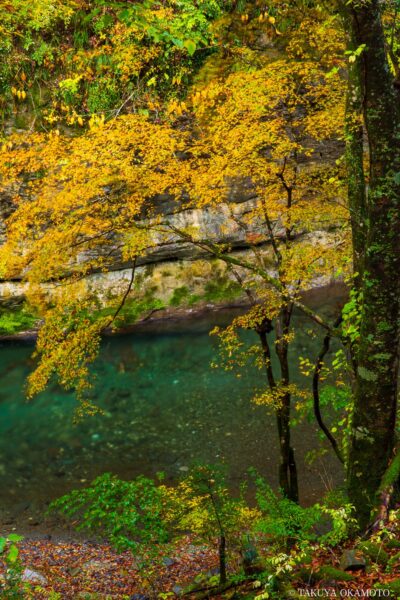 高知県香美市 / 2016