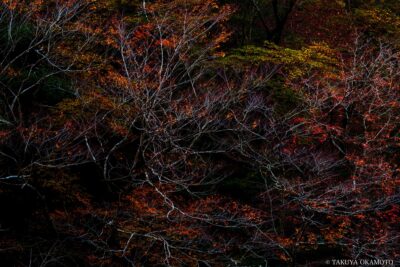 高知県香美市 / 2016