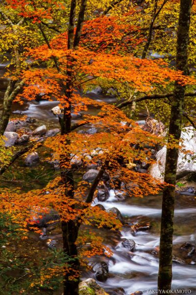高知県香美市 / 2016