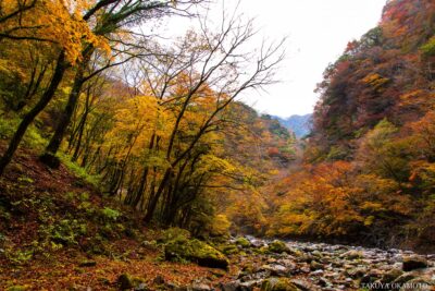 高知県香美市 / 2016