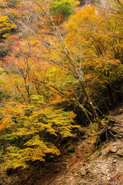 高知県香美市 / 2016