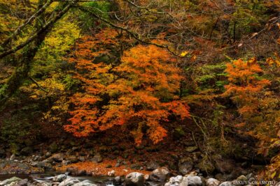 高知県香美市 / 2016