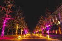 KUT+illumination 高知県香美市 高知工科大学 / 2019