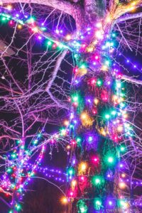 KUT+illumination 高知県香美市 高知工科大学 / 2019