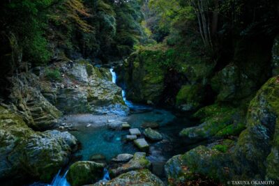 高知県仁淀川町 / 2021