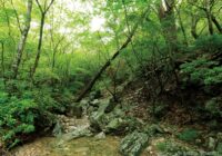 工石山 （高知県高知市）
