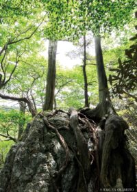 工石山 （高知県高知市）
