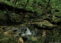 工石山 （高知県高知市）